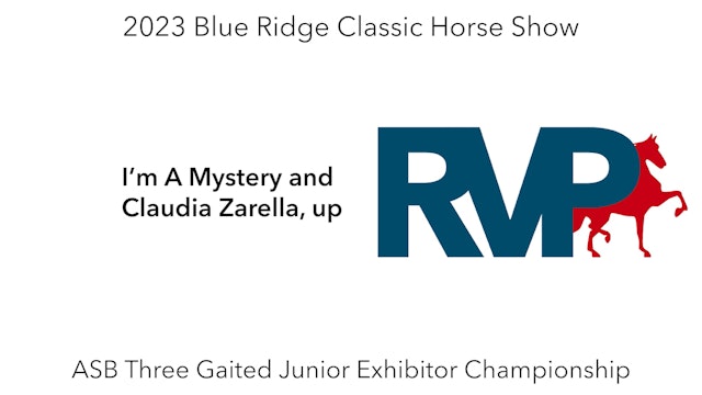 BR23 - Class 216 - I’m A Mystery and Claudia Zarella, up