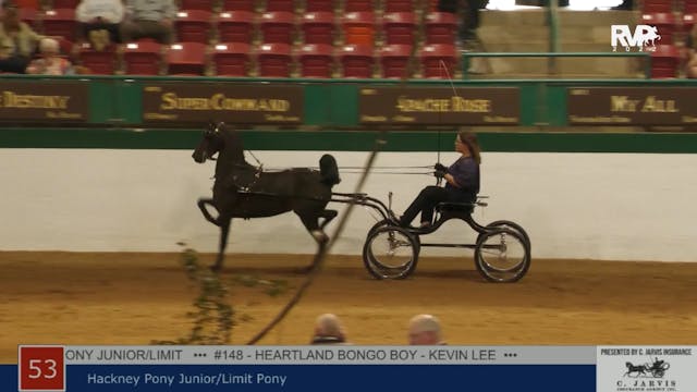 NCSC22 - Class 53 -  Hackney Pony Jun...