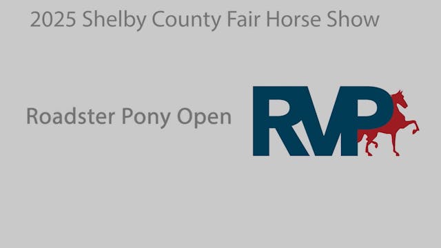 SCF25 - Classic 12 - Roadster Pony Open
