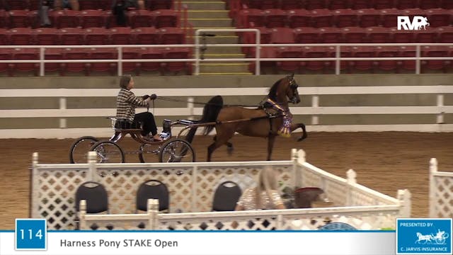 2020 ASF - Class 114 Harness Pony Ope...