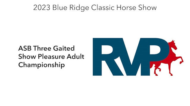 BR23 - Class 221 - ASB Three Gaited Show Pleasure Adult Championship