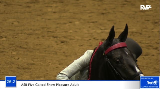 2020 Bonnie Blue Horse Show - Wednesd...