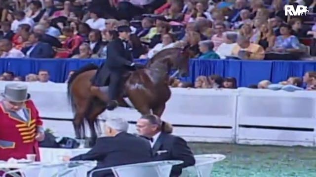 2009 World's Championship Horse Show ...