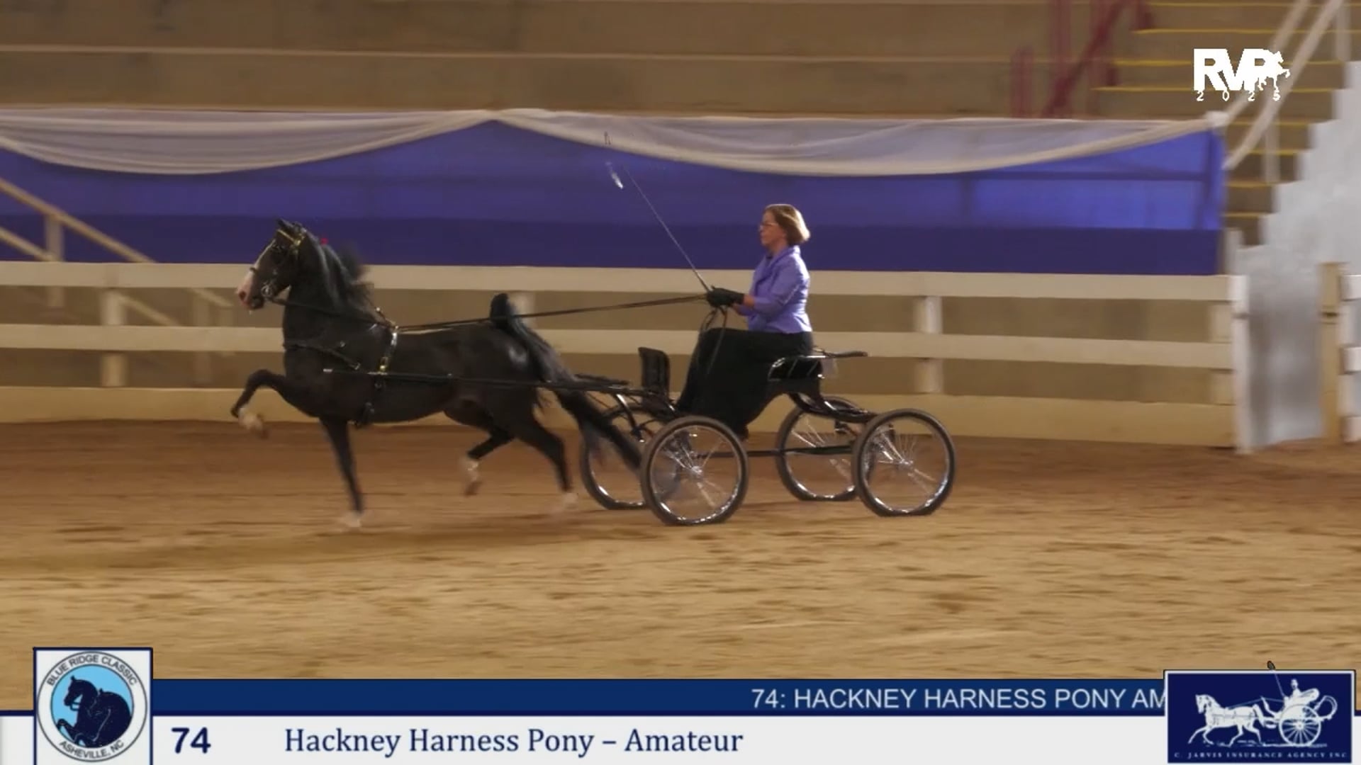 BRC25 - Class 74 - Hackney Harness Pony Amateur