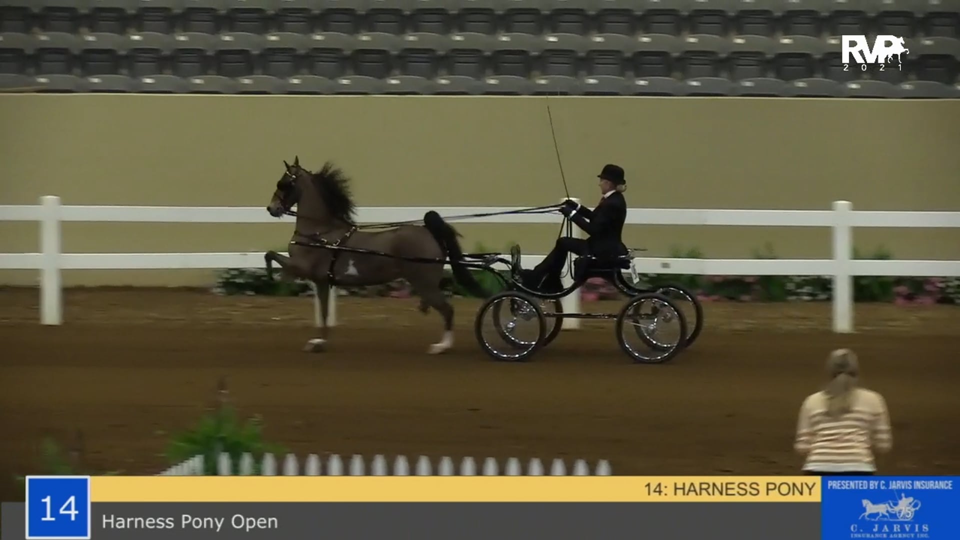 KYSP21 - Class 14 - Harness Pony Open