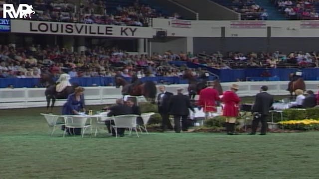 2004 World's Championship Horse Show ...