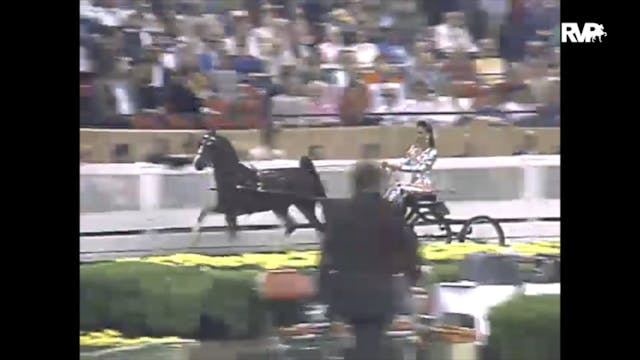1988 WCHS Class 133 Amateur Harness P...