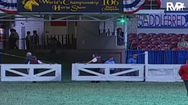 2009 World's Championship Horse Show ...