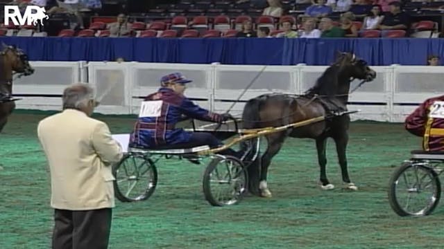 2004 World's Championship Horse Show ...