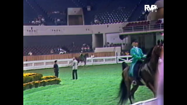 WCHS 1988 - CH Caravelle and Michele ...