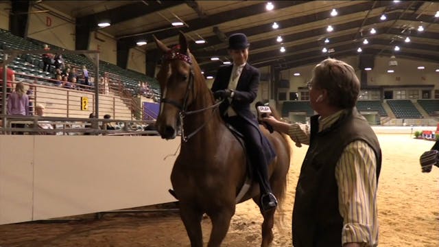 ProAm19 - Class 55 - Fox Grape's Tudo...