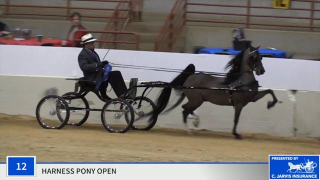 ProAm19 - Class 12 - Crystal Creek's ...