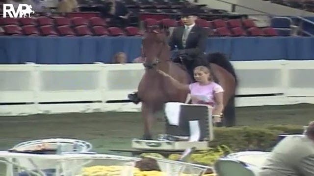 2003 WCHS Class 38 Equitation Open Ri...