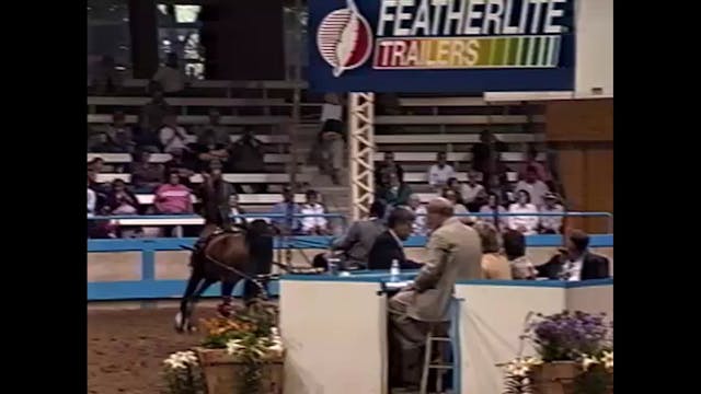 2000 Des Moines Spring Horse Show - U...