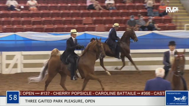 2020 BR - Class 58 Open Three Gaited ...