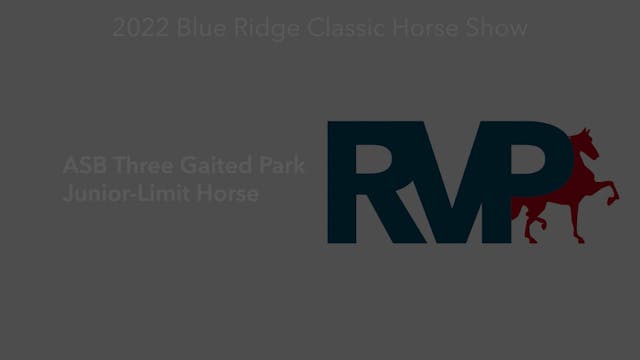 BR22 - Class 30 - ASB Three Gaited Pa...