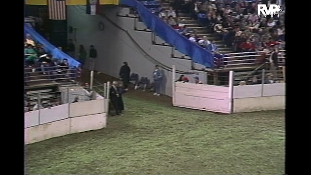 1988 AR - Special Presentation for Ca...