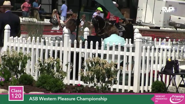 2015 LJL - Class 120 ASB Western Plea...