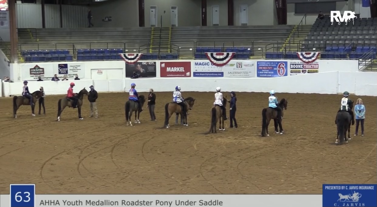 BB21 - Class 63 - AHHS Medallion Hackney Roadster Pony Under Saddle 