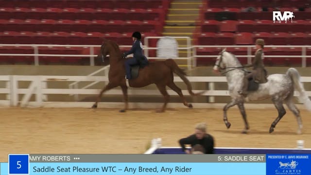 ASW21 - Class 5 - Saddle Seat Pleasur...