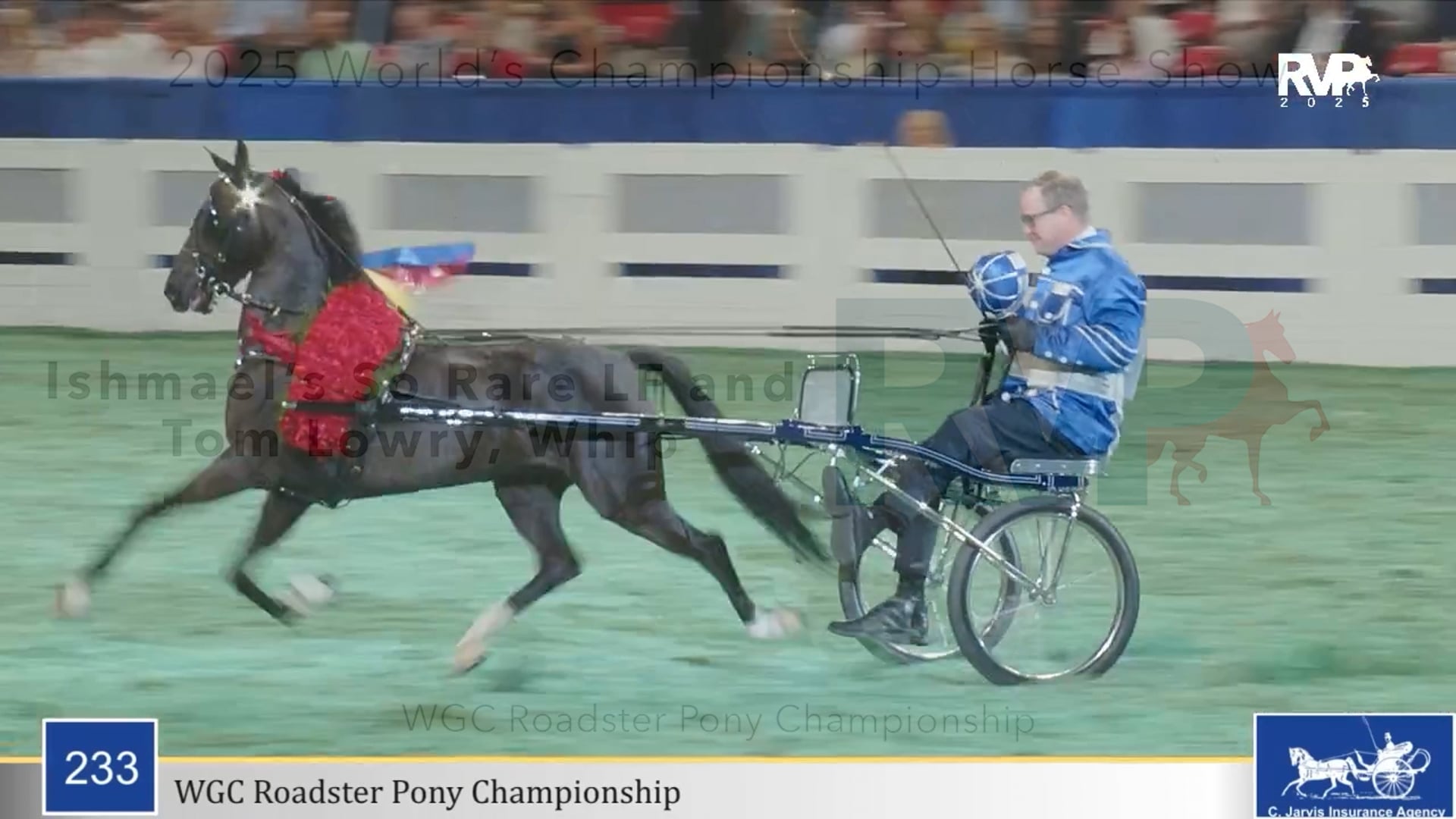 WCHS25 - Class 233 - Ishmael's So Rare LF and Tom Lowry, Whip