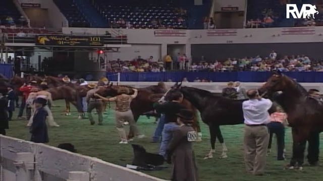 2004 World's Championship Horse Show ...