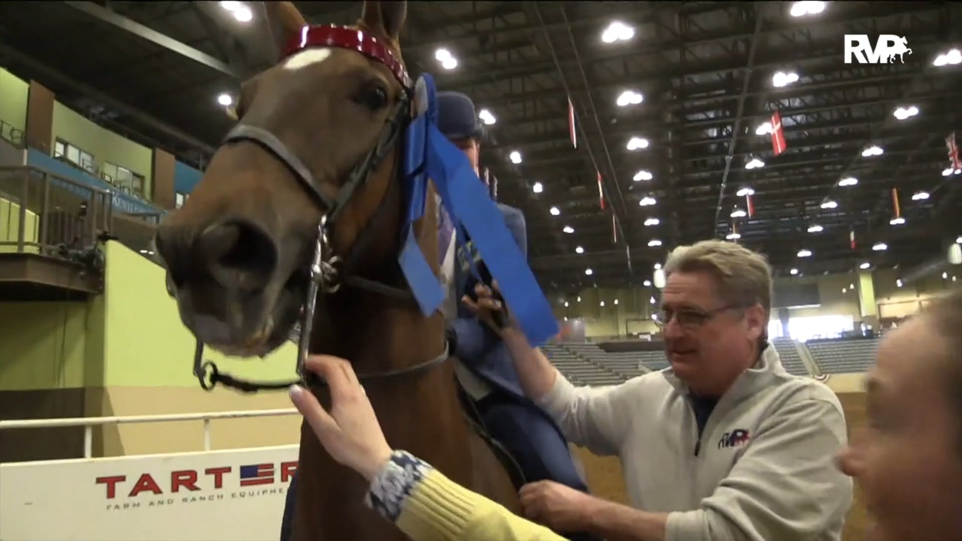 KYSP18 Class 63 Callaway's Edelweiss