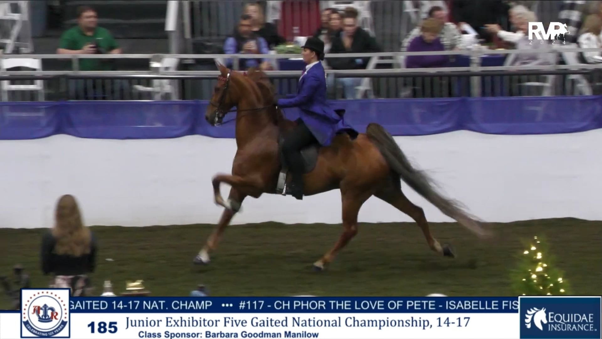 AR24 - Class 185 - Jr Exhibitor Five Gaited National Championship 14-17
