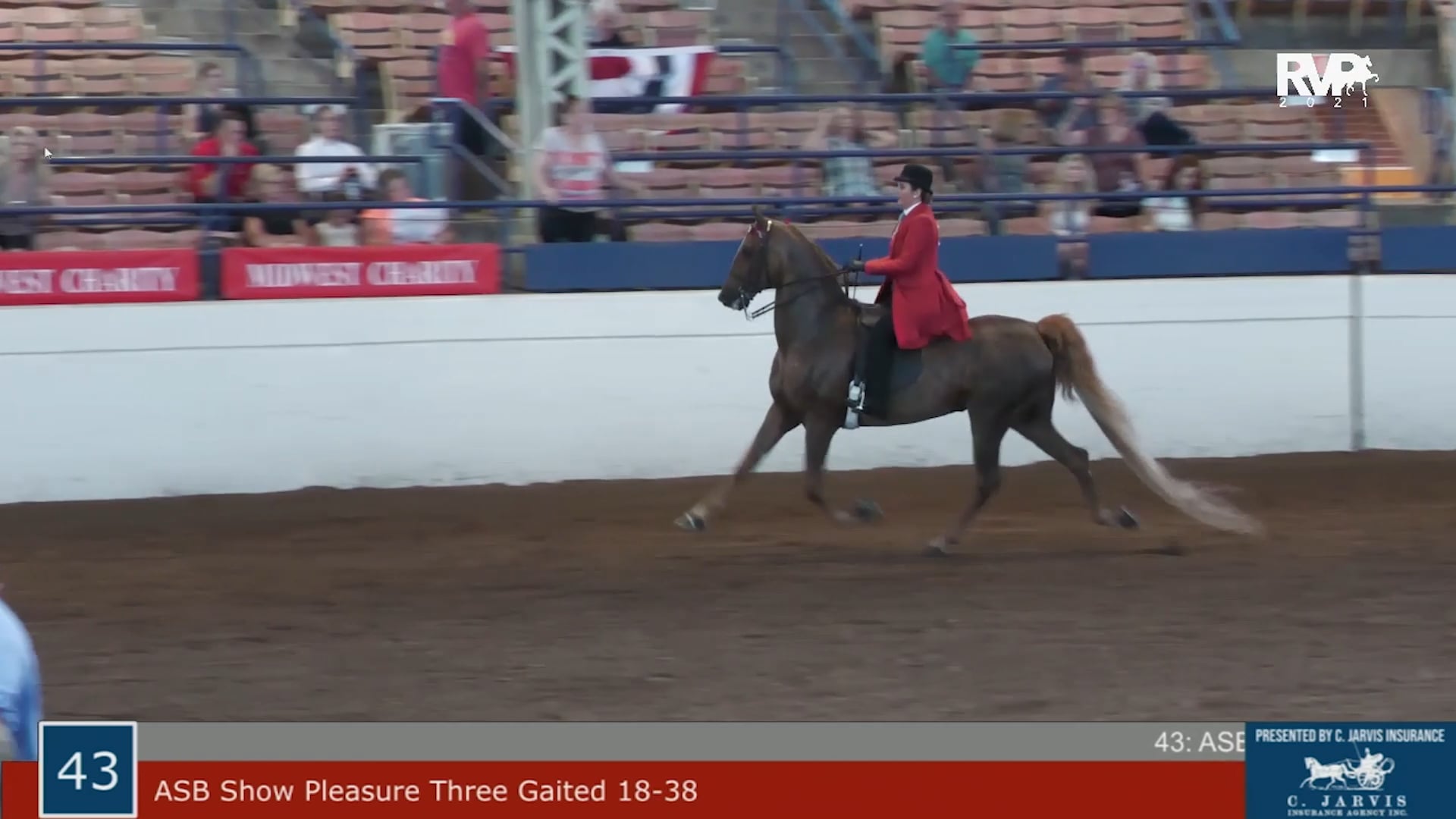 MW21 - Class 43 - ASB Show Pleasure Three Gaited 18-38