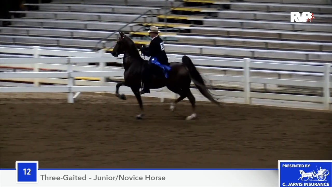 2018 Southeastern Charity - Thursday Evening