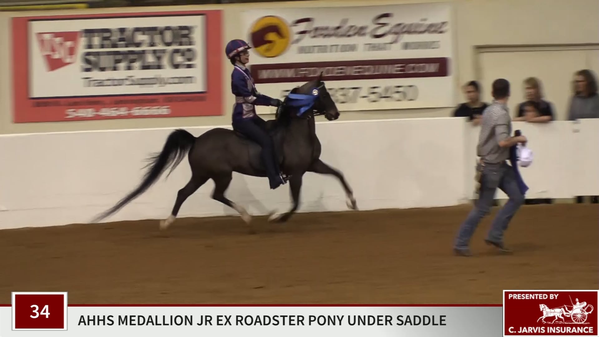 BB19 - Class 34 - Regal's Sensation LF