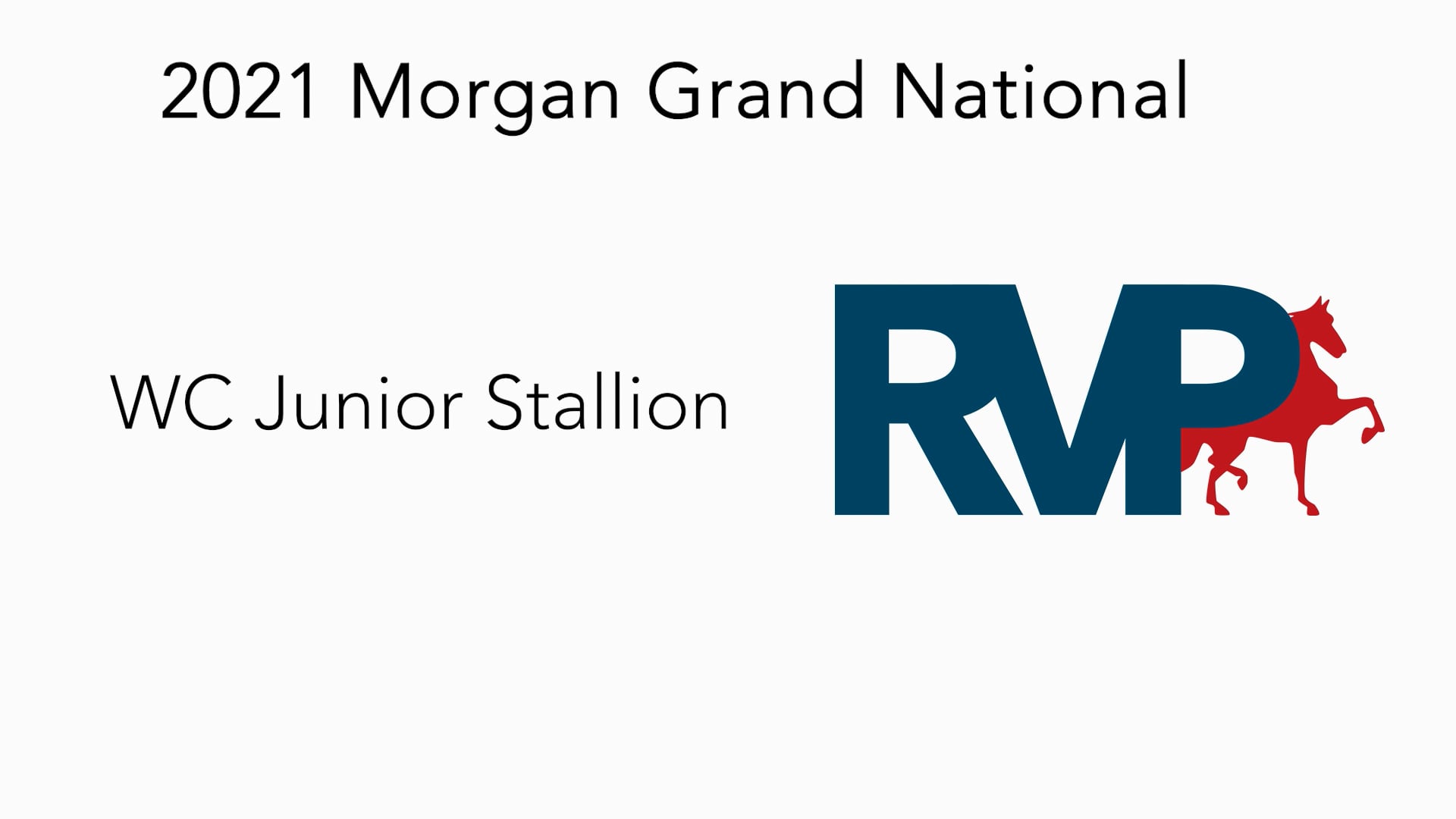 MGN21 - Class 30 - WC Junior Stallion