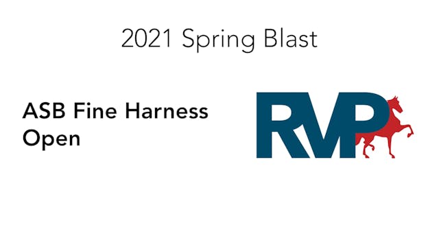 SB21 - Class 244 - ASB Fine Harness Open