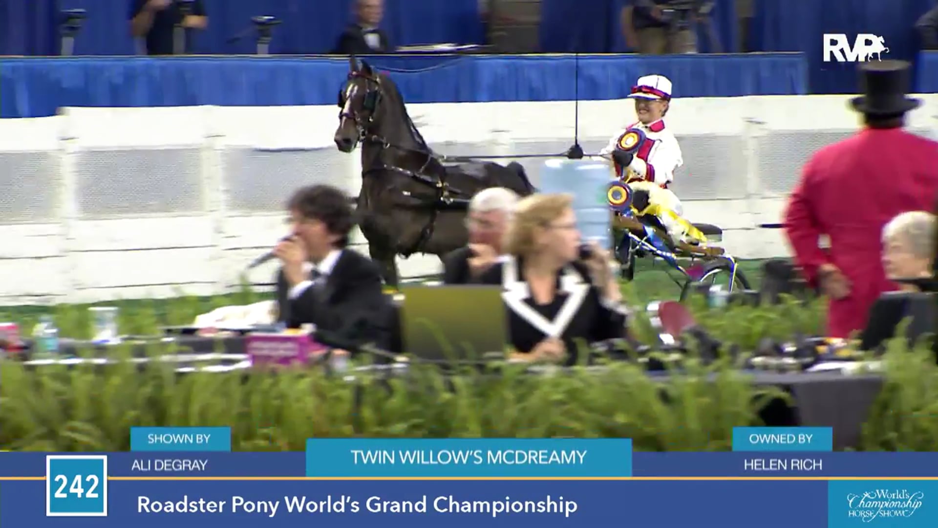 WCHS15 - Twin Willow's McDreamy - Championship