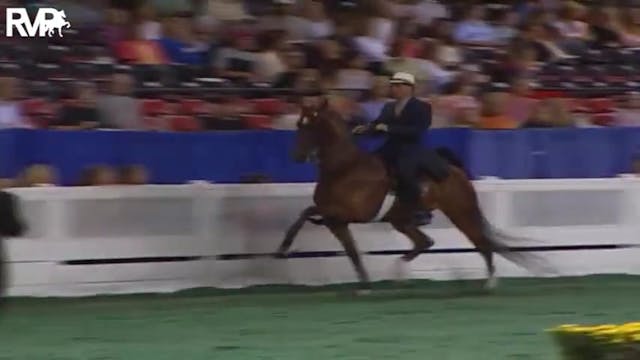 2004 World's Championship Horse Show ...