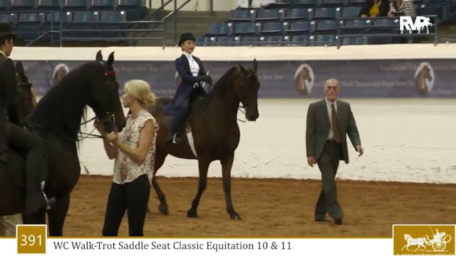 MGN23 - Class 391 - WC Walk-Trot Sadd...