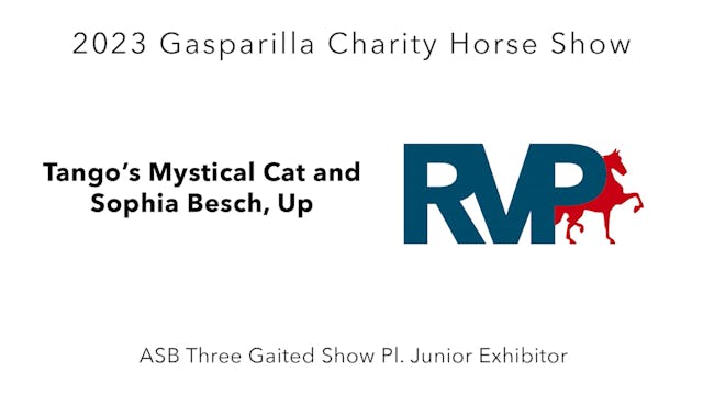 GASP23 - Class 55 - Tango's Mysical C...
