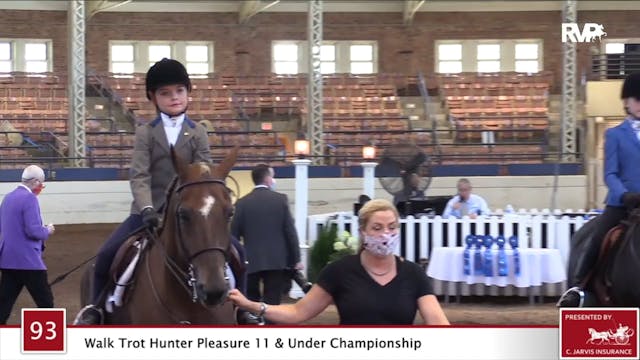 2020 JMHS - Class 93 Walk:Trot Hunter...