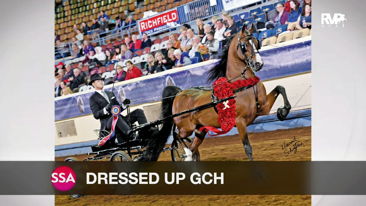 2025 Morgan Grand National - Sunday Evening - Coliseum