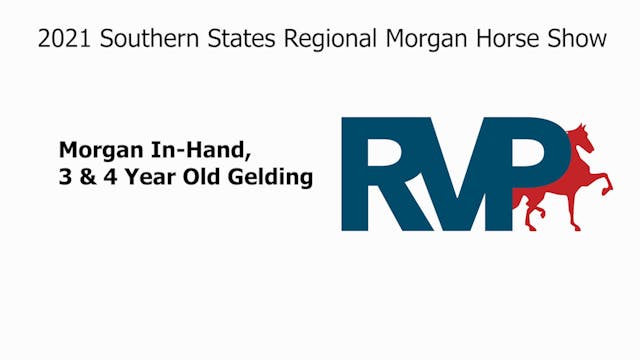 SS21 - Class 7 - Morgan In-Hand, 3 & ...