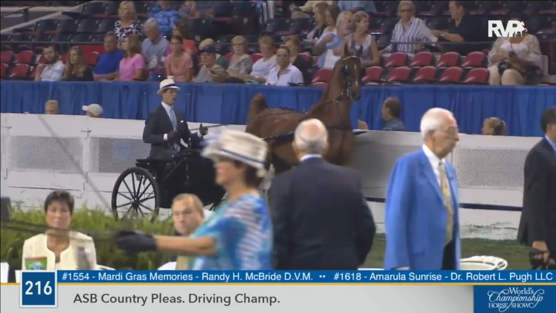 2016 WCHS - Class 216 ASB Country Pleasure Driving Championship