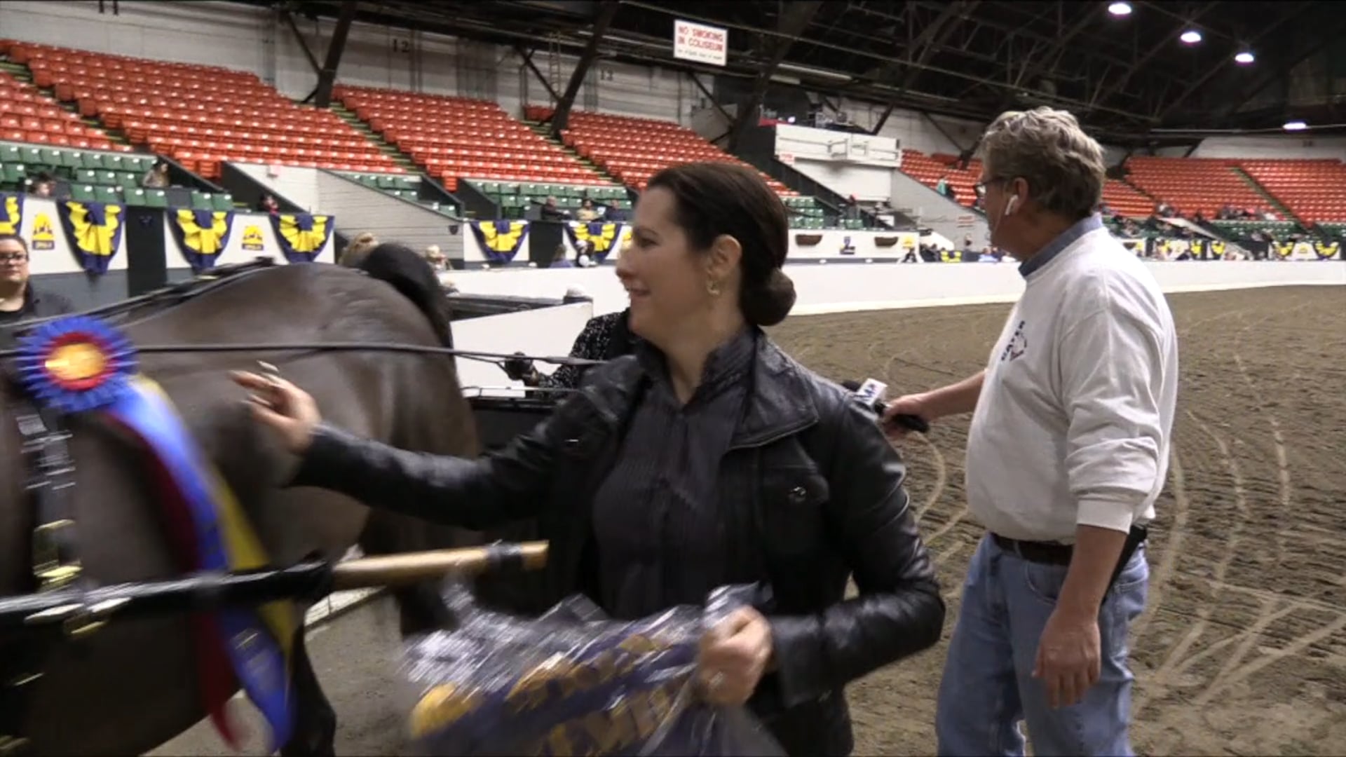 UPHA14-19 - Class 141 - BRMF Fearless Championship