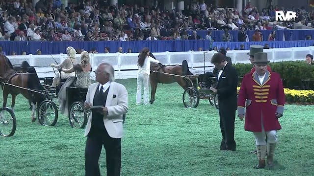 2011 WCHS Class 235 Harness Pony Cham...