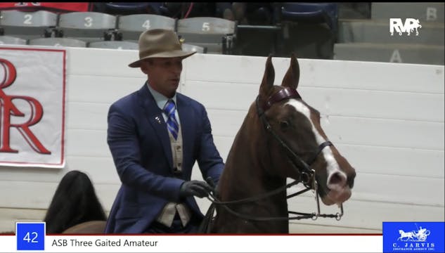 2022 River Ridge Charity Horse Show -...