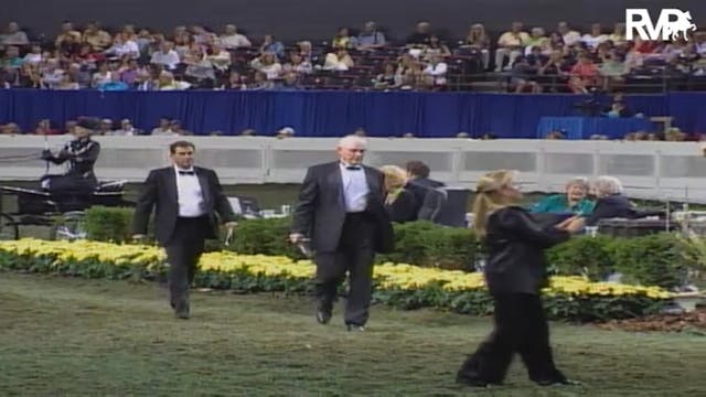 2004 World's Championship Horse Show ...