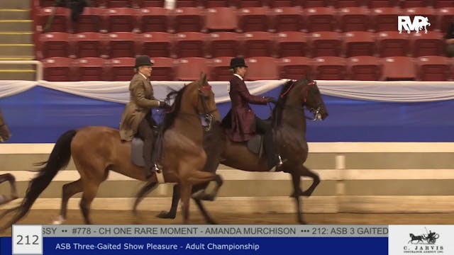 BR22 - Class 212 - ASB Three Gaited S...