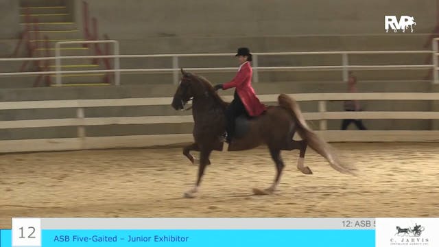 ASF22 - Class 12 - ASB Five Gaited Ju...