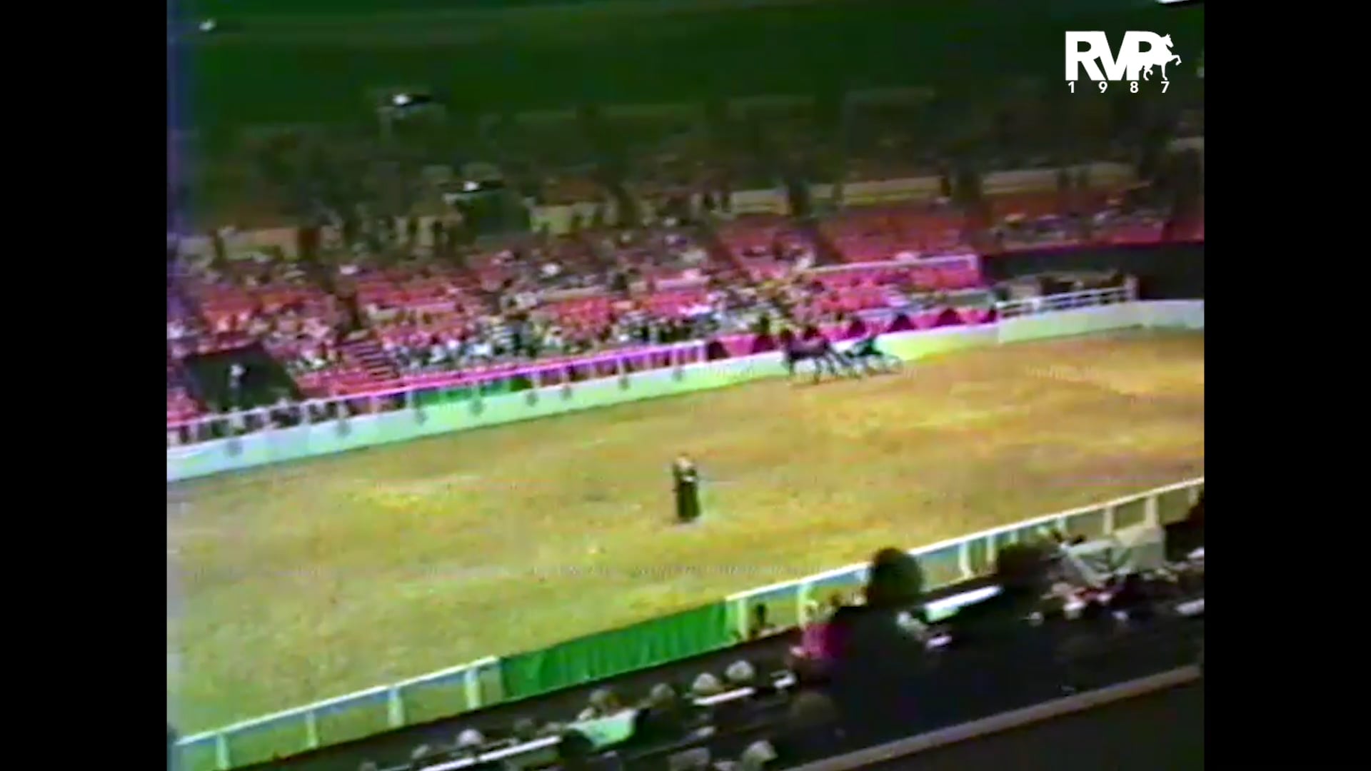 1987 New York National @ Madison Square Garden - Fine Harness Open - CH The King of Highpoint and Carter Ragsdale, whip