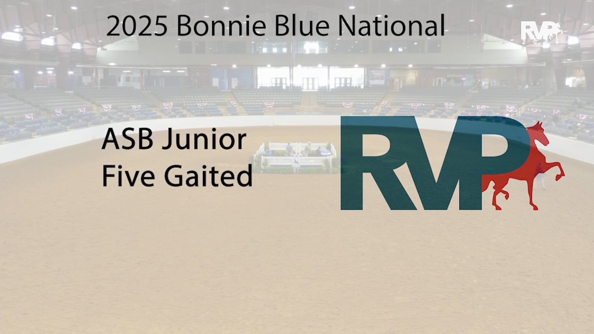 BB25 - Class 35 - ASB Junior  Five Gaited