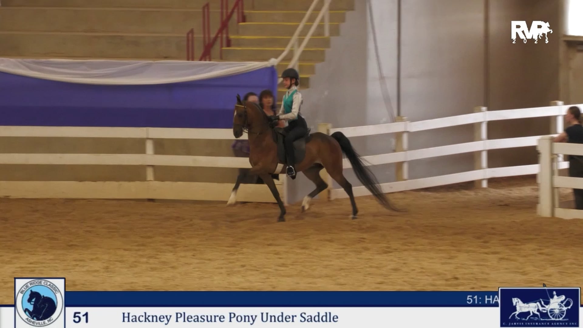 BRC25 - Class 51 - Hackney Pleasure Pony Under Saddle